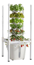 Coltivazione efficiente Questa torre Kit e sistemi