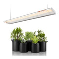 Lampade da coltivazione indoor con Elevata Resa Luminosa lampada
