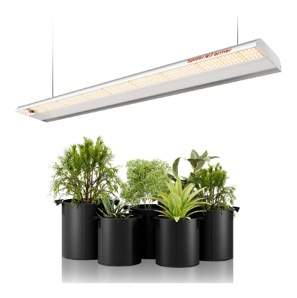 Lampade da coltivazione indoor con Elevata Resa Luminosa lampada