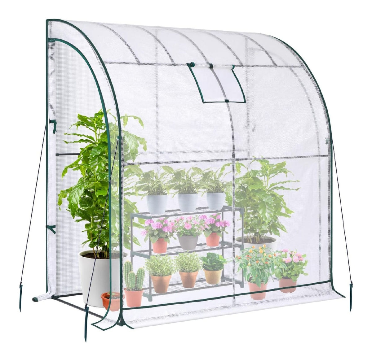 Sistemi serra Appoggiata spaziosa passo carrabile 210 cm 65 cm